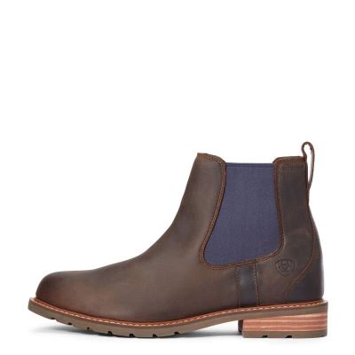 Ariat Wexford - Enkel Laarzen Donkerblauw / Bruin Heren - 20596-930